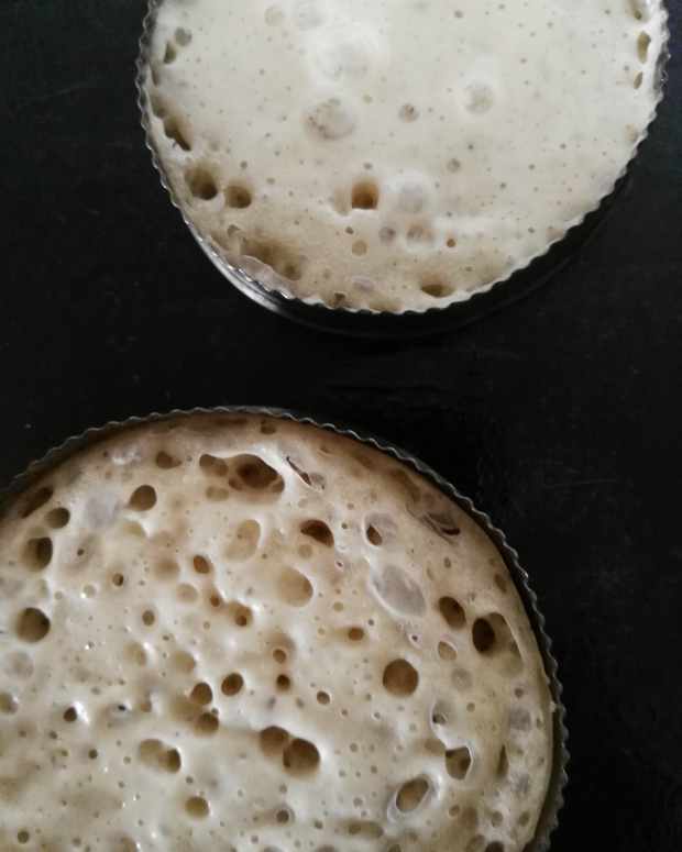 Sourdough Starter and Leaven Delishably