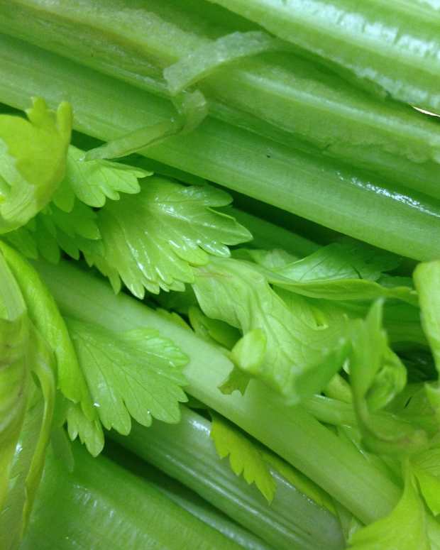 Exploring Artichokes Origins, Fun Facts, and 7 Tasty Recipes Delishably