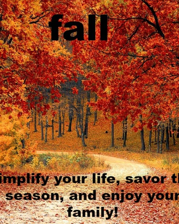 10-fun-things-to-do-with-your-family-in-the-fall