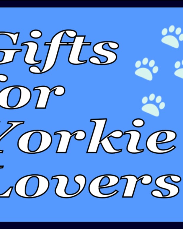 gifts-for-yorkie-lover