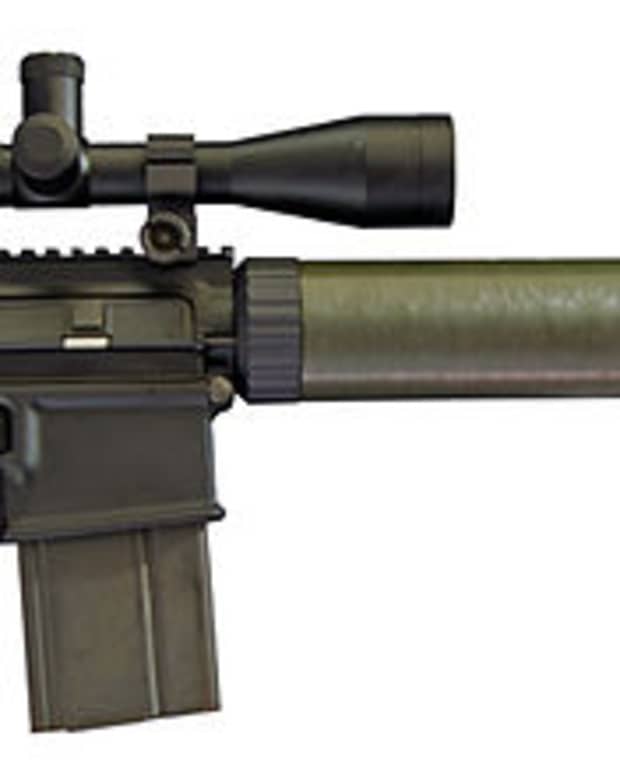you-should-hunt-with-an-ar-style-rifle