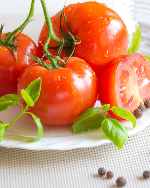 tomatoes-historical-highlights-fruit-facts-and-flavour-news