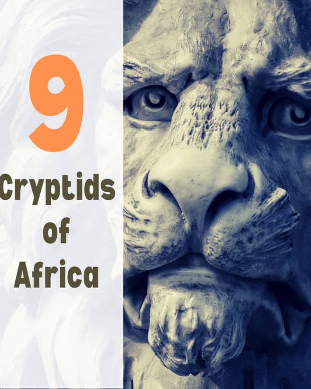 9-mysterious-monsters-of-africa