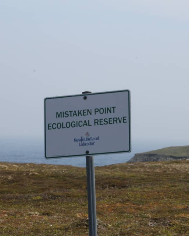 mistaken-point-ecological-reserve-the-oldest-creatures-on-earth-preserved-on-canadas-east-coast