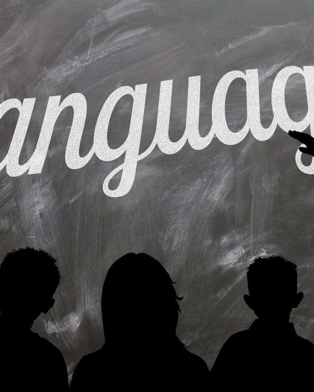 learning-a-foreign-language-online-what-you-need-to-know