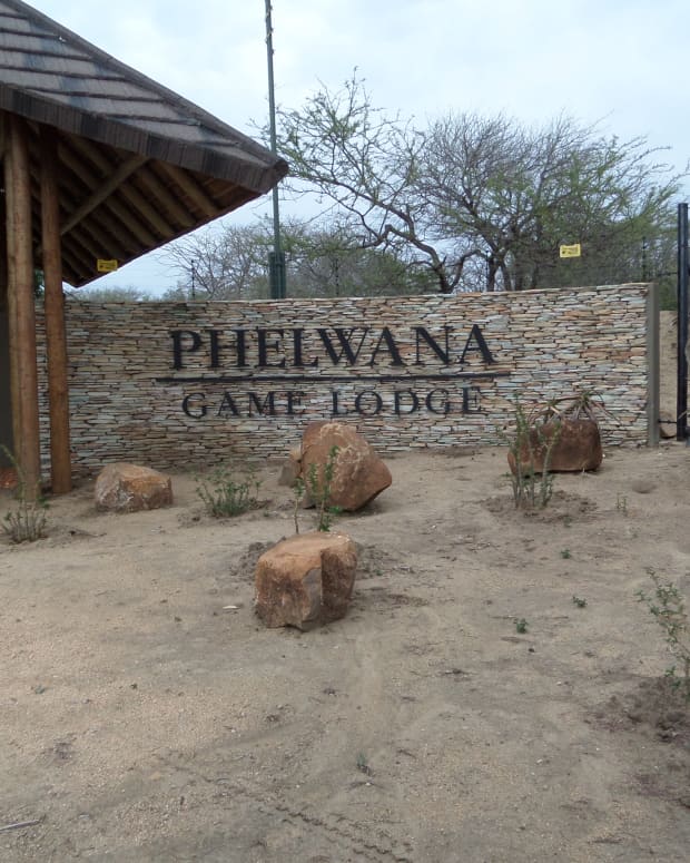 phelwana-game-lodge-hoedspruit-kruger-park-review