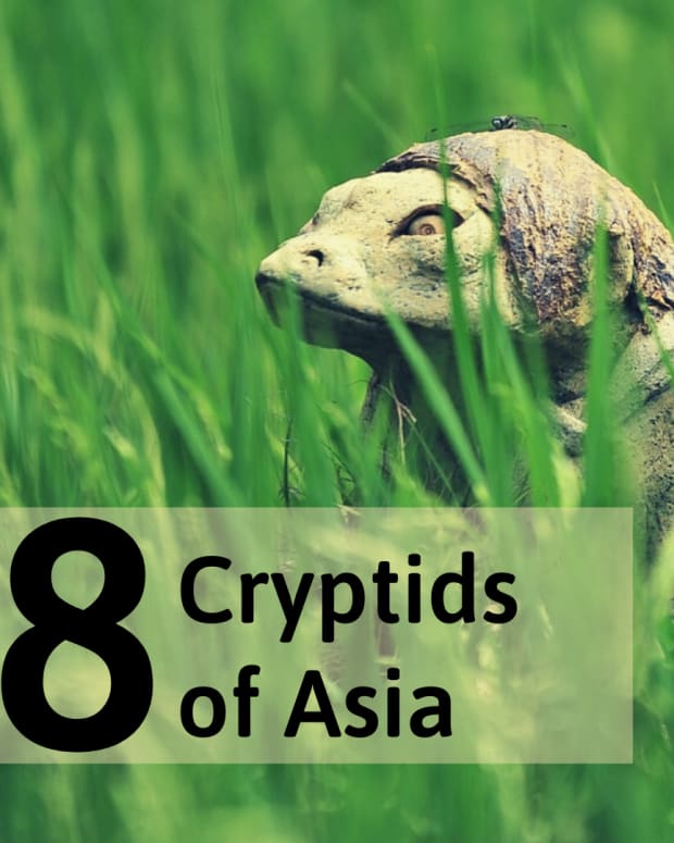 8-mysterious-monsters-of-asia