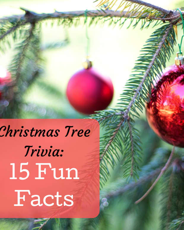 o-christmas-tree-trivia