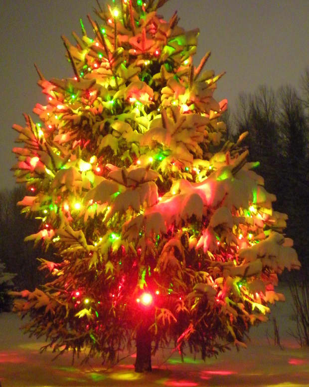 lonesome-little-christmas-tree