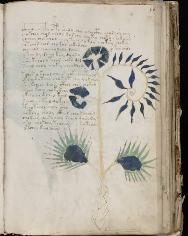 the-riddle-of-the-voynich-manuscript