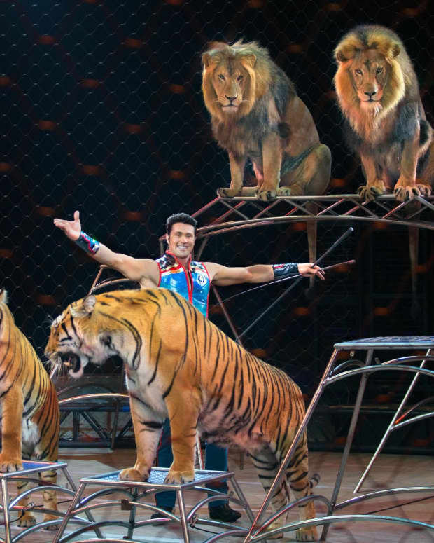 animal-trainer-alexander-laceys-ringling-bros-circus-wrap-up