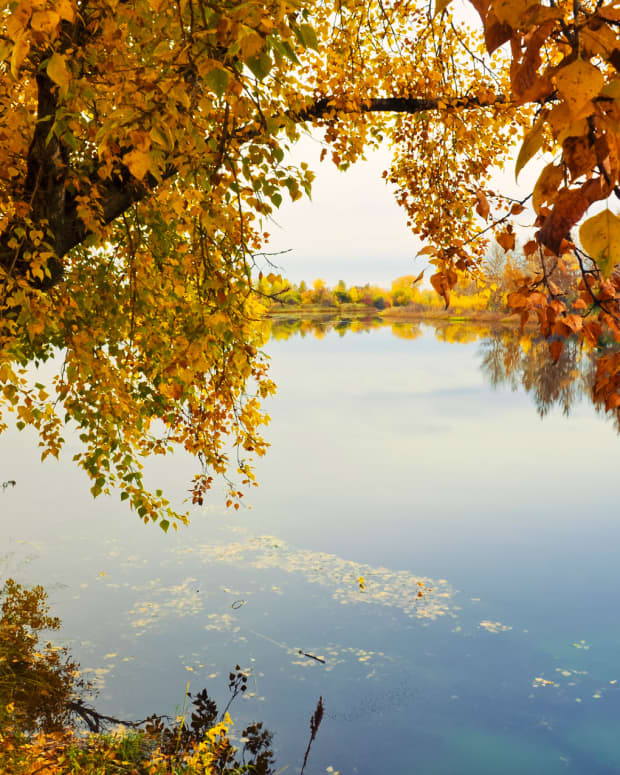 the-river-in-autumn