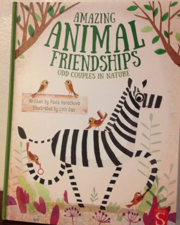 nature-friendship-and-our-ecosystems-in-a-fascinating-picture-book-with-quirky-animal-partnerships
