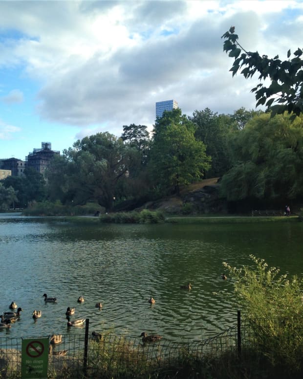 14-relaxing-things-to-do-in-central-park