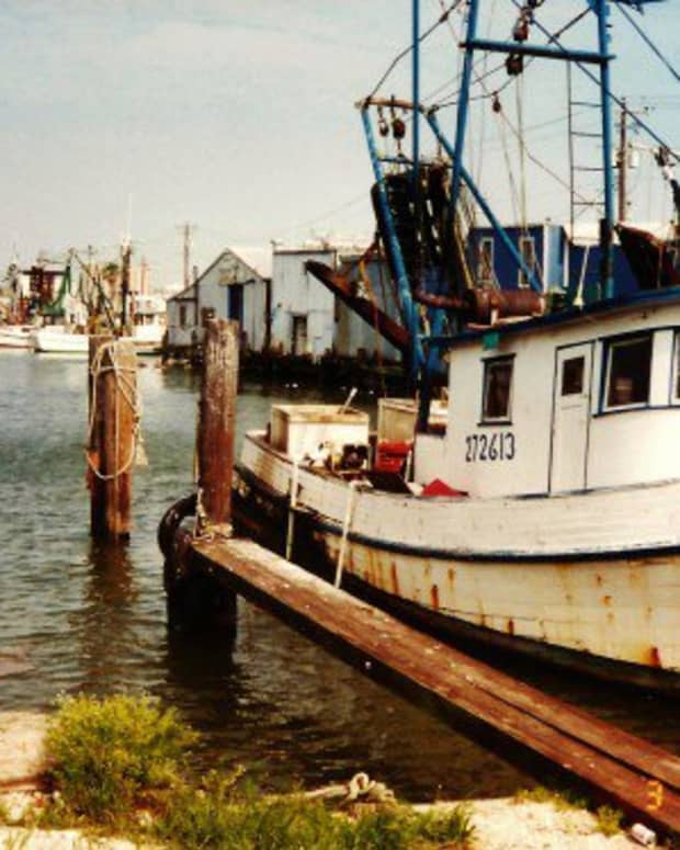 galveston-texas-importance-of-fisheries-marshes-and-estuaries