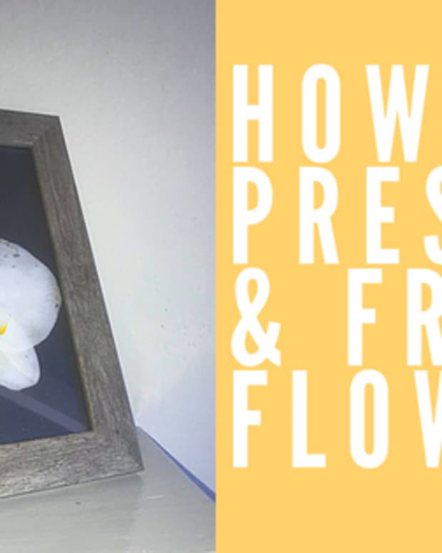 how-to-press-and-frame-flowers