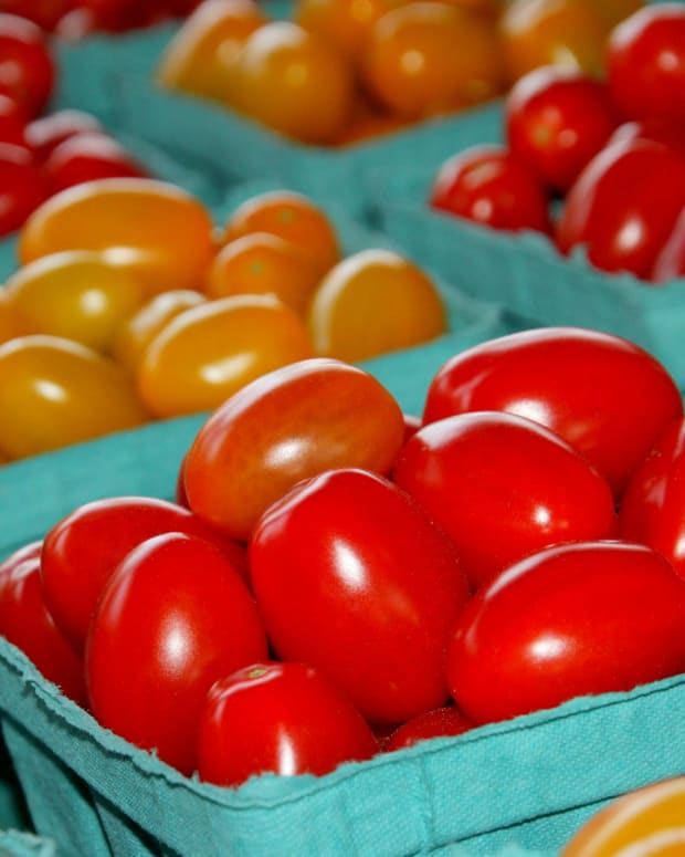 7-health-reasons-to-include-more-tomatoes-in-your-diet