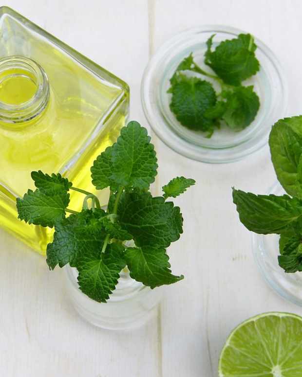 Peppermint Essential Oil Benefits RemedyGrove