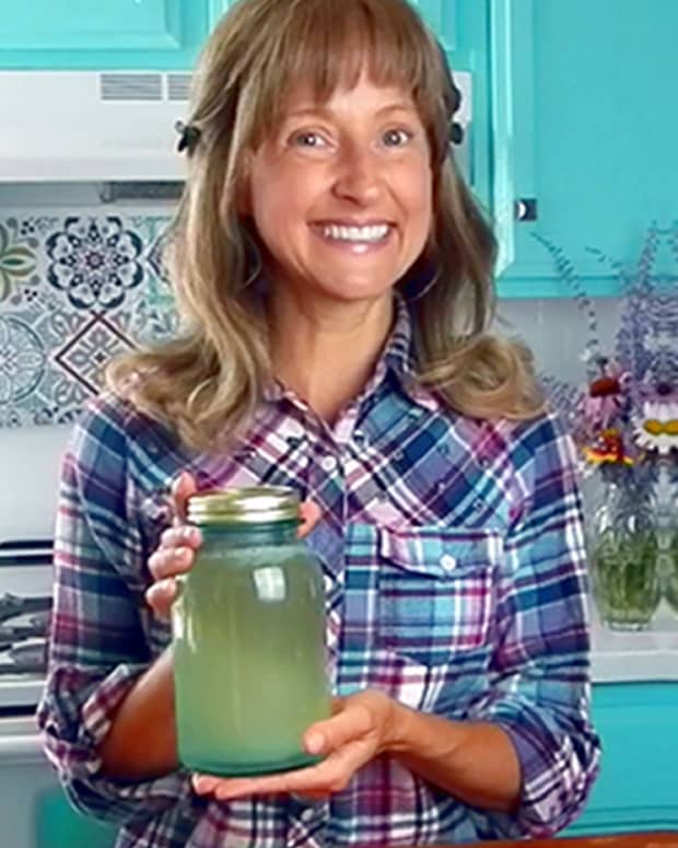 how-to-make-probiotic-water-at-home-without-kefir
