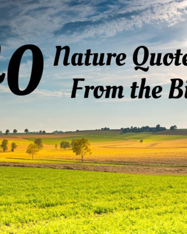 30-nature-quotes-for-the-christian-classroom