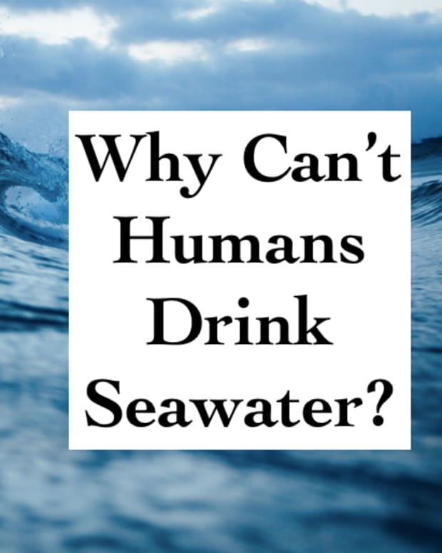 why-cant-humans-drink-seawater