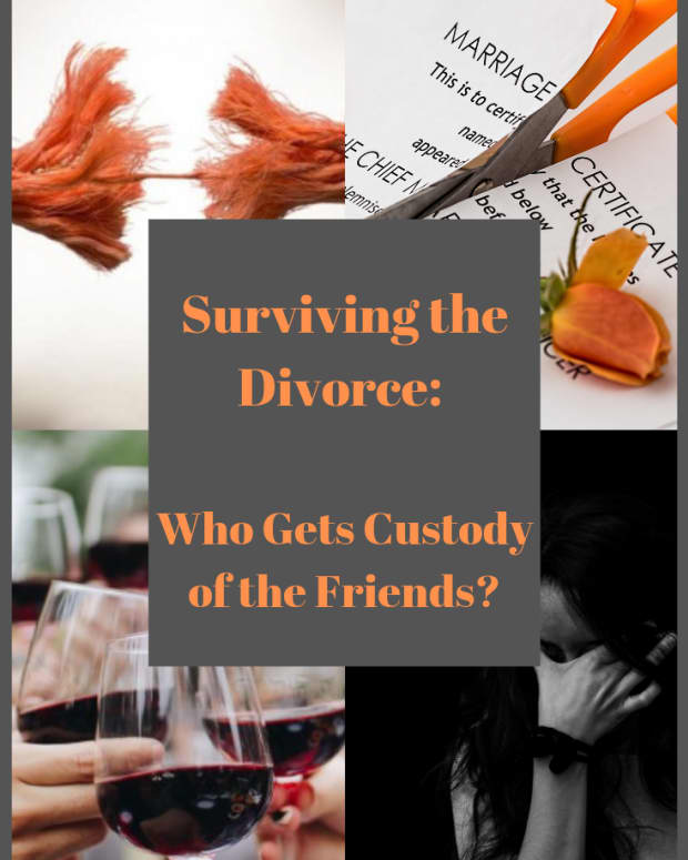 divorce-who-gets-custody-of-the-friends