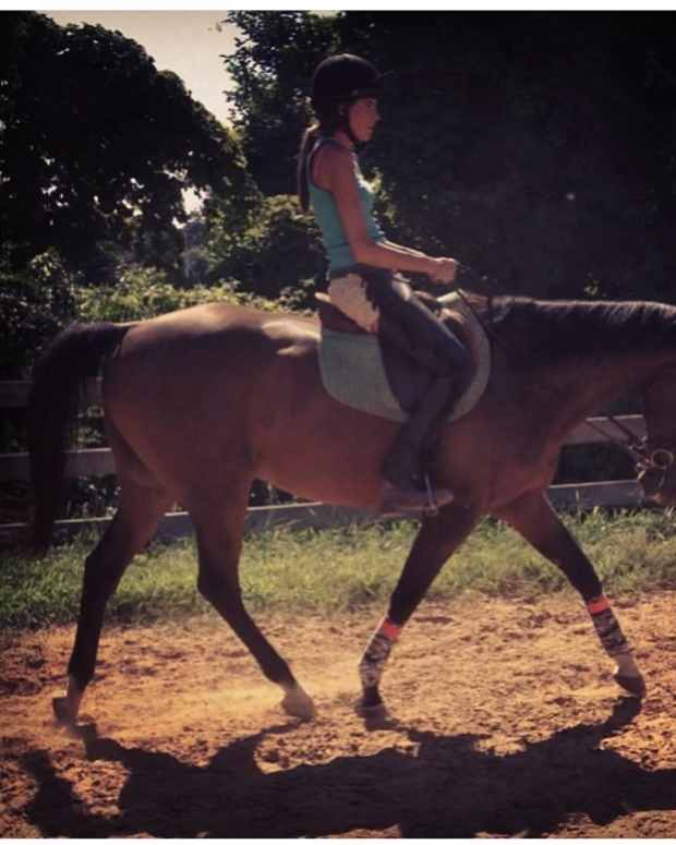 a-good-horse-is-never-a-bad-breed