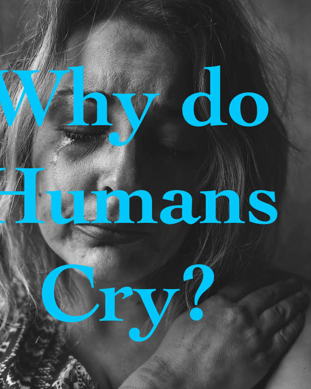 why-do-humans-cry-theories