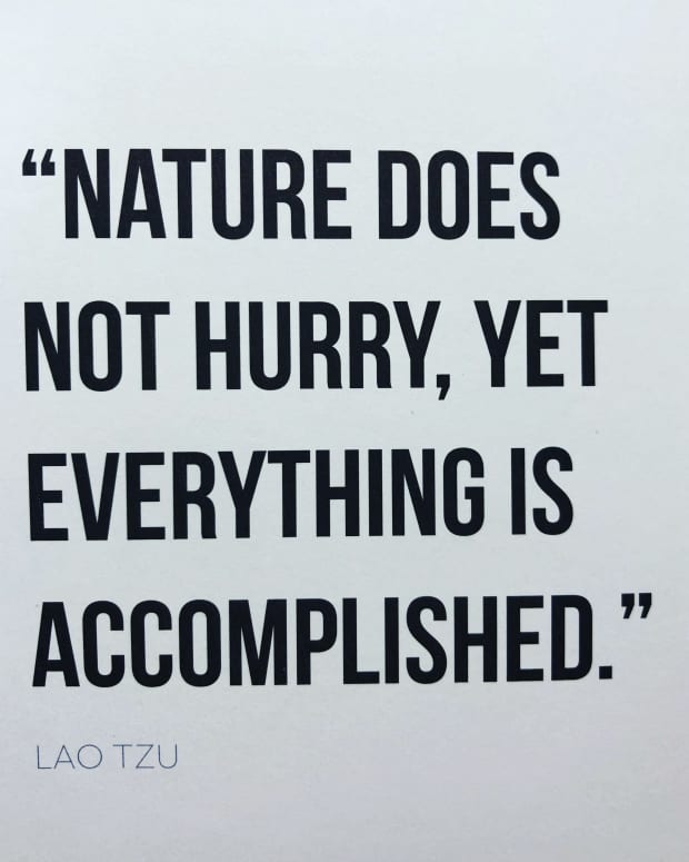 nature-does-not-hurry-yet-everything-is-accomplished