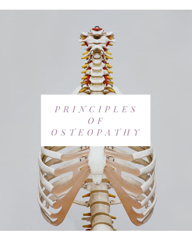 the-principles-of-osteopathy