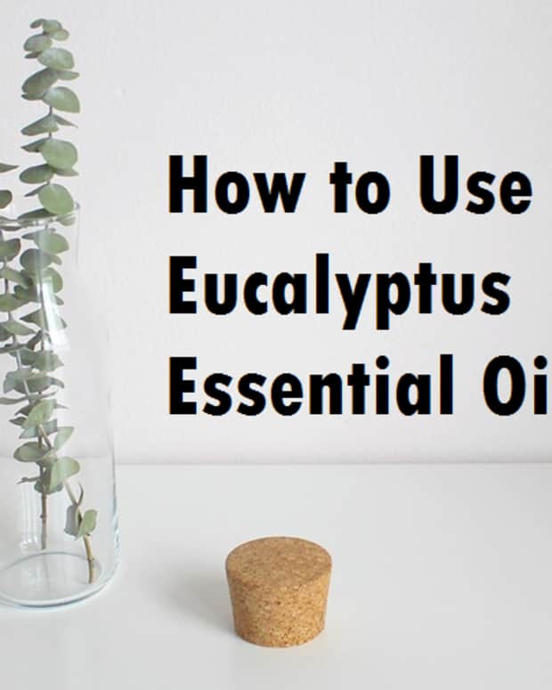 Making Eucalyptus Essential Oil RemedyGrove