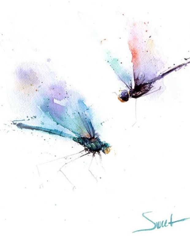 dragonflies-roshena
