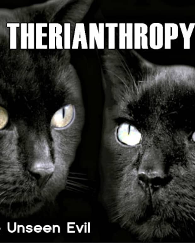 therianthropy-the-unseen-evil