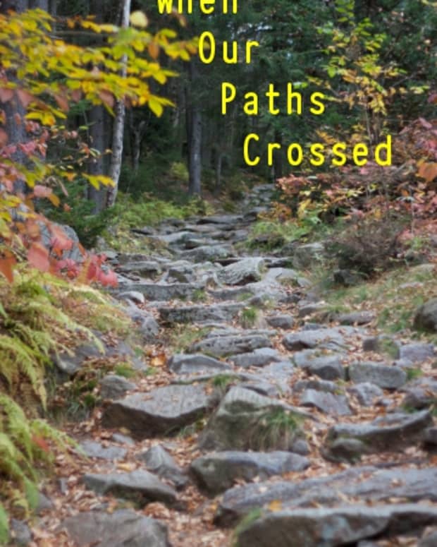 when-our-paths-crossed