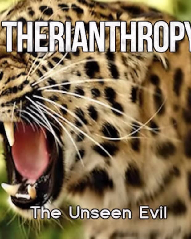 therianthropy-the-unseen-evil-6