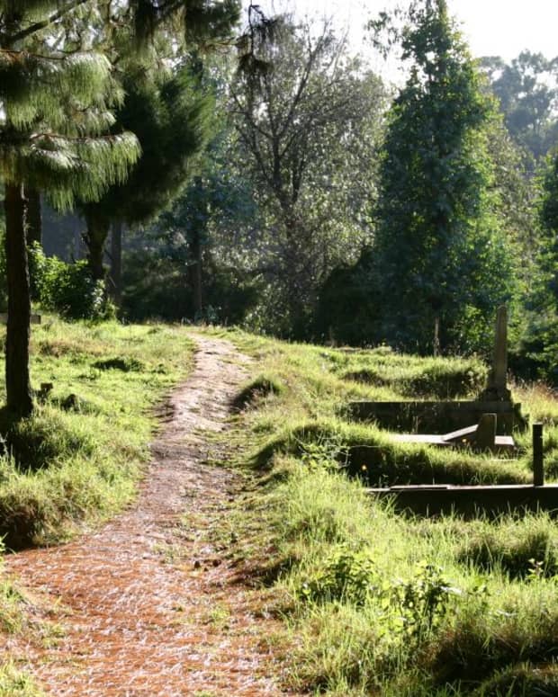 top-places-to-visit-in-ooty
