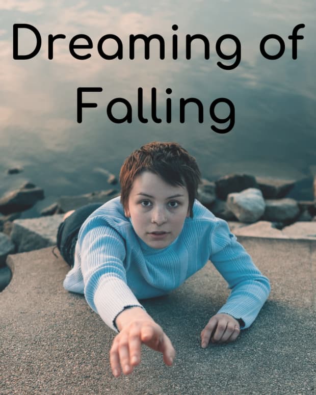 why-do-i-dream-i-am-falling-the-significance-of-falling-in-韦德官网dreams＂>
                </picture>
                <div class=