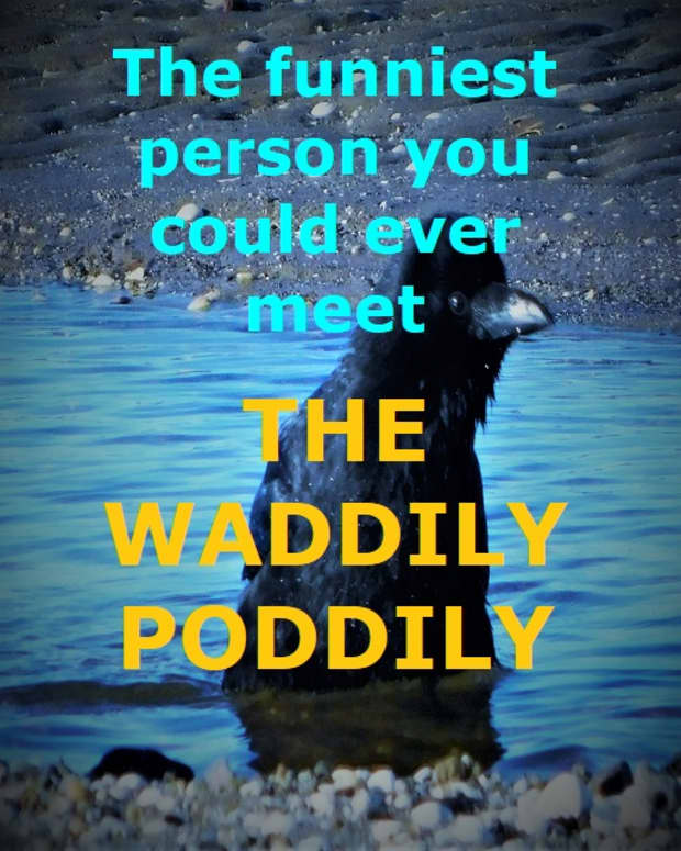 the-waddily-poddily-a-childrens-poem