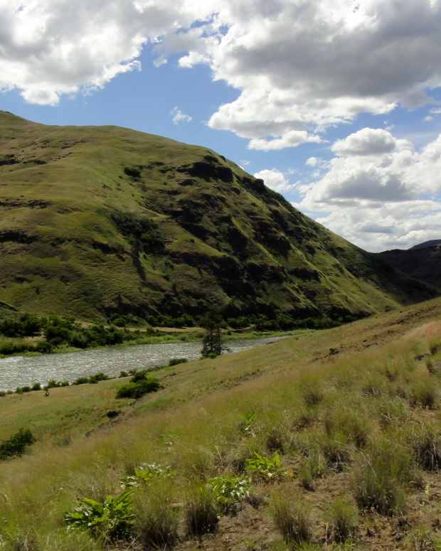 Fly Fishing for Women A Beginner's Guide to Fly Fishing SkyAboveUs