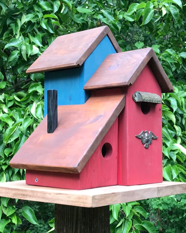 Bluebird Birdhouse Plans Complete Step By Instructions For Building A Bird House Bluebird Birdhouse Plans Complete