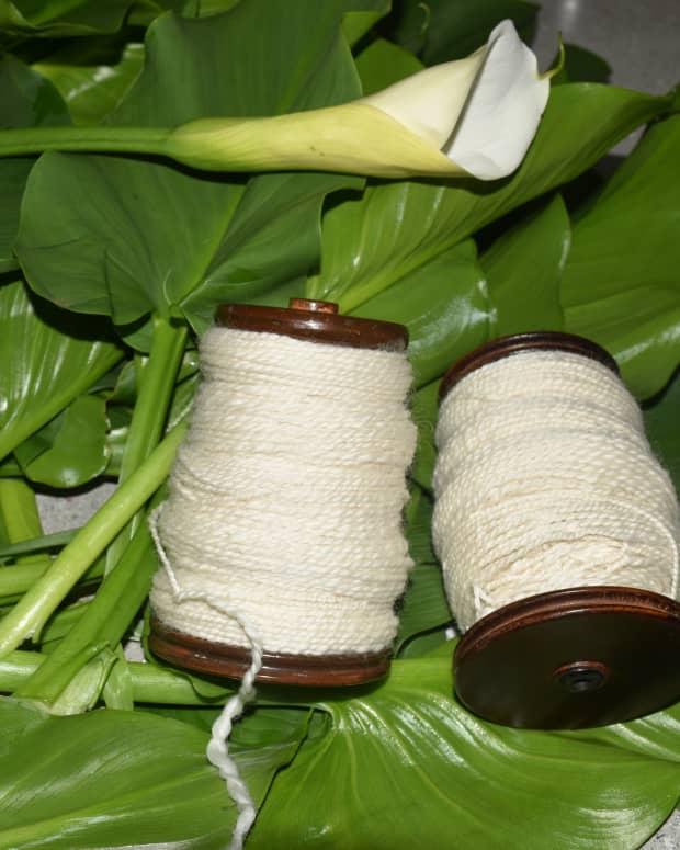hand-dyeing-wool-with-arum-lily-leaves