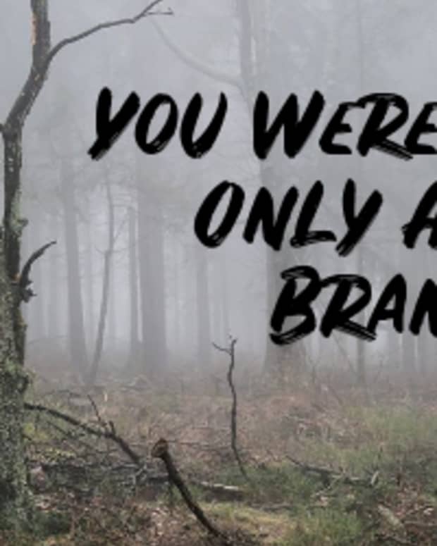 poem-you-were-only-a-branch