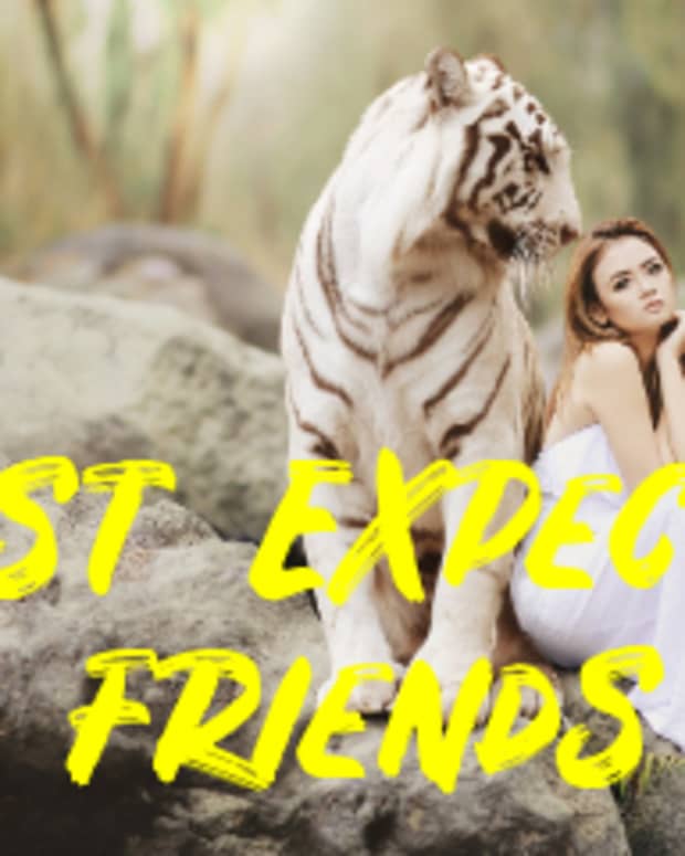 poem-least-expected-friends
