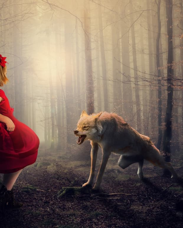 tangerinehippie-and-little-red-riding-hood