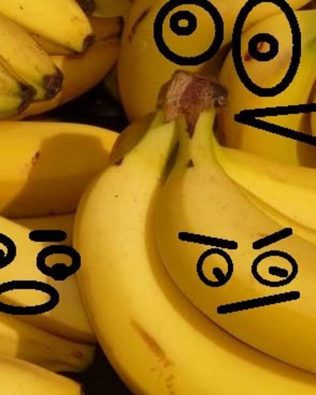 the-dysfunctional-lives-of-bananas