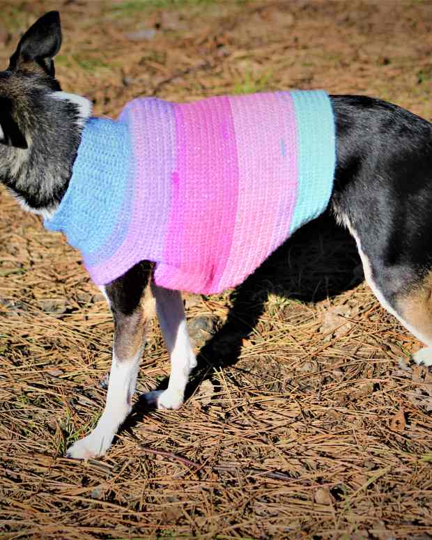 Half Double Crochet Small Dog Sweater Pattern