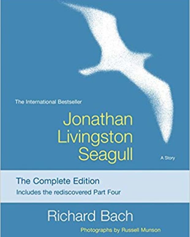 review-jonathan-livingston-seagull
