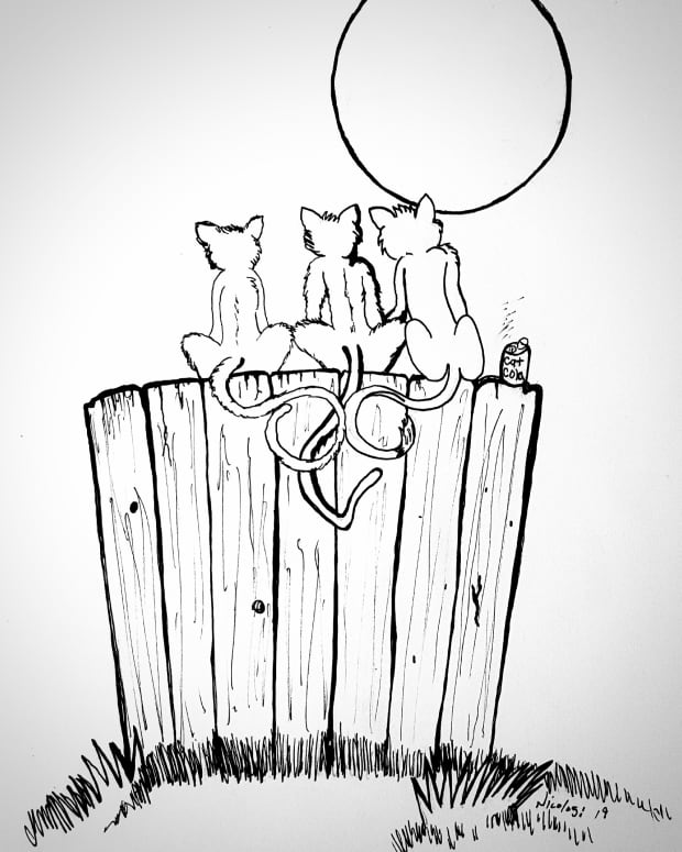 three-little-kittens-sitting-on-a-fence