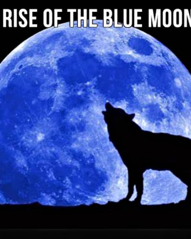the-rise-of-the-blue-moon-3