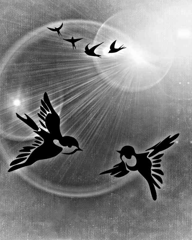 albanian-muslims-saved-jews-from-the-holocaust